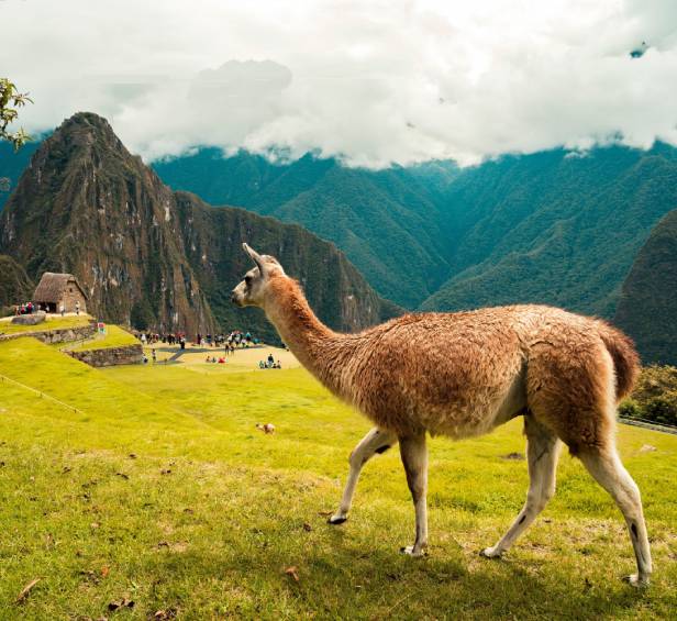 PERU-01
